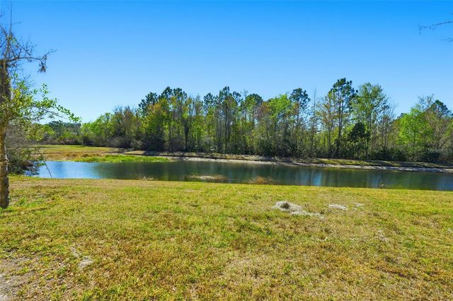 26906 JUNIPER BAY DRIVE, Wesley Chapel, FL 33544