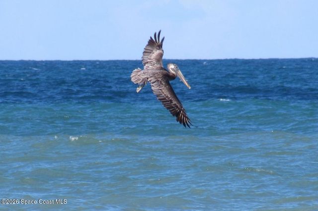 2084 Seawind Court, Melbourne, FL 32903