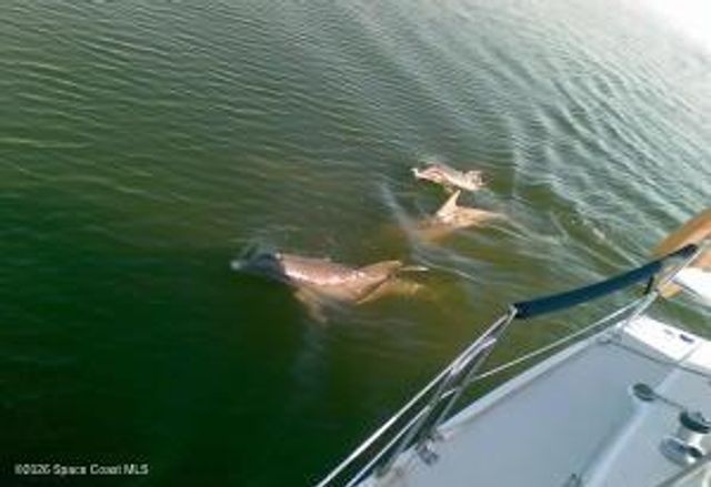 2084 Seawind Court, Melbourne, FL 32903