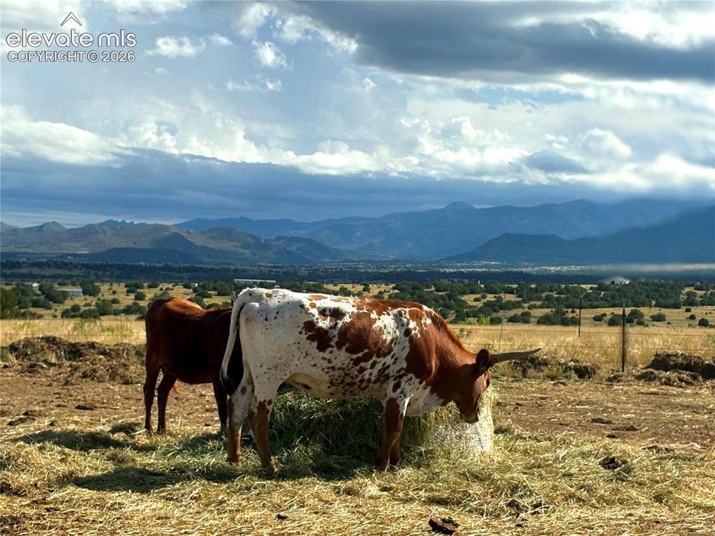 8650 HIGHWAY 67, Florence, CO 81226 — photo 5