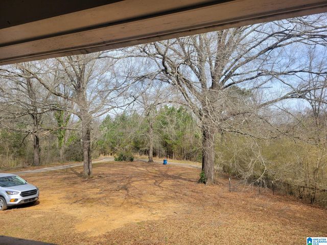 131 MIMOSA STREET, Brookside, AL 35214