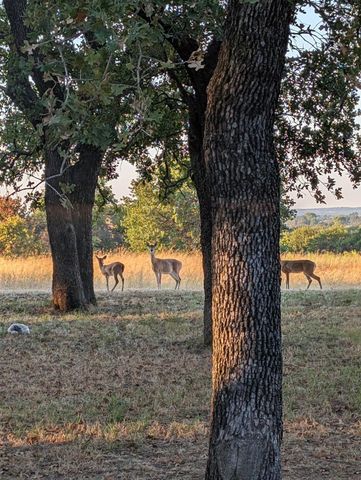 3207 FM 2048, Boyd, TX 76023