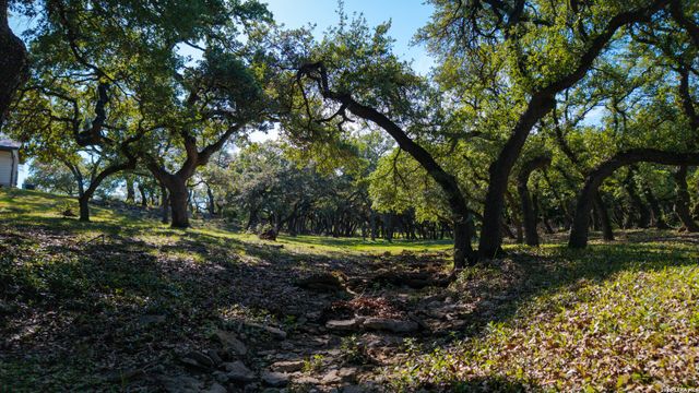 28337 LESLIE PFEIFFER DR, Boerne, TX 78015