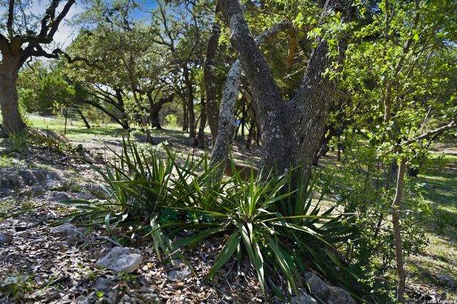 28337 LESLIE PFEIFFER DR, Boerne, TX 78015