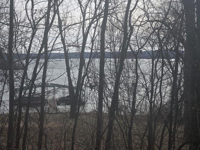 0 Cleburne Pt Prince Phillip, Waverly, TN 37185