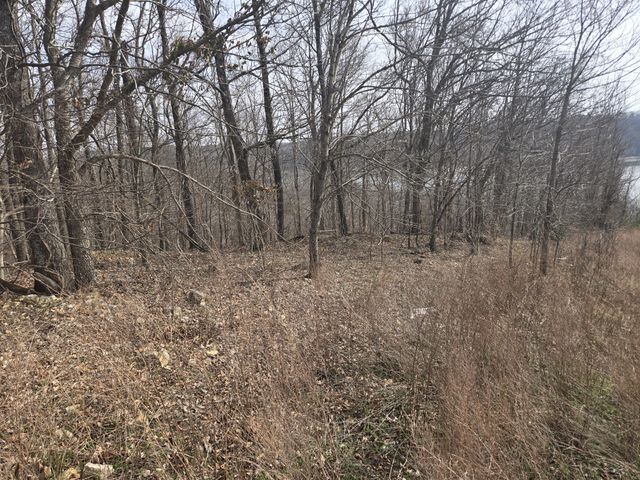 0 Cleburne Pt Prince Phillip, Waverly, TN 37185