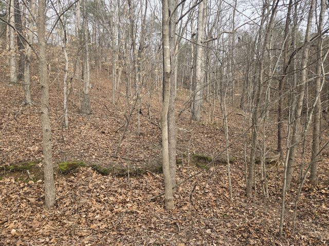 0 Cleburne Pt Prince Phillip, Waverly, TN 37185