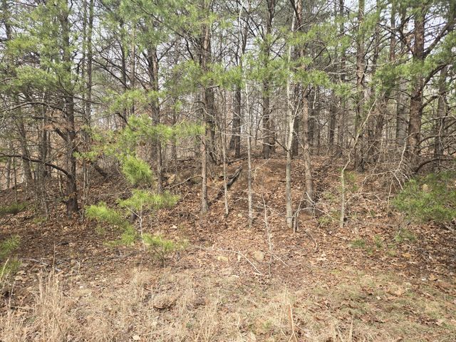 0 Cleburne Pt Prince Phillip, Waverly, TN 37185