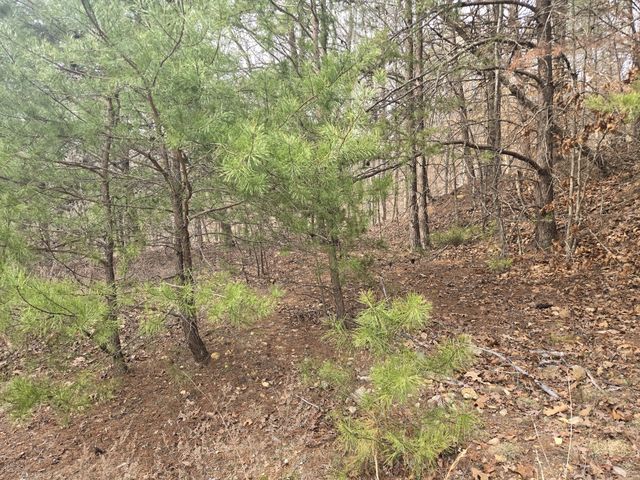 0 Cleburne Pt Prince Phillip, Waverly, TN 37185