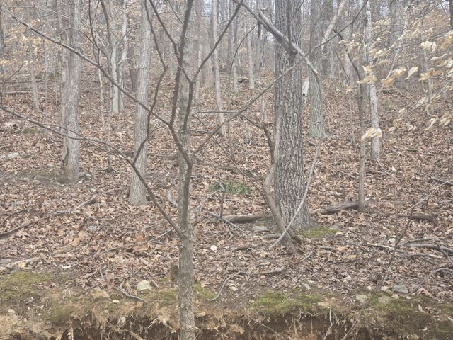 0 Cleburne Pt Prince Phillip, Waverly, TN 37185