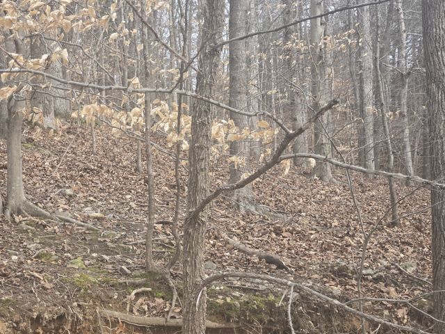 0 Cleburne Pt Prince Phillip, Waverly, TN 37185