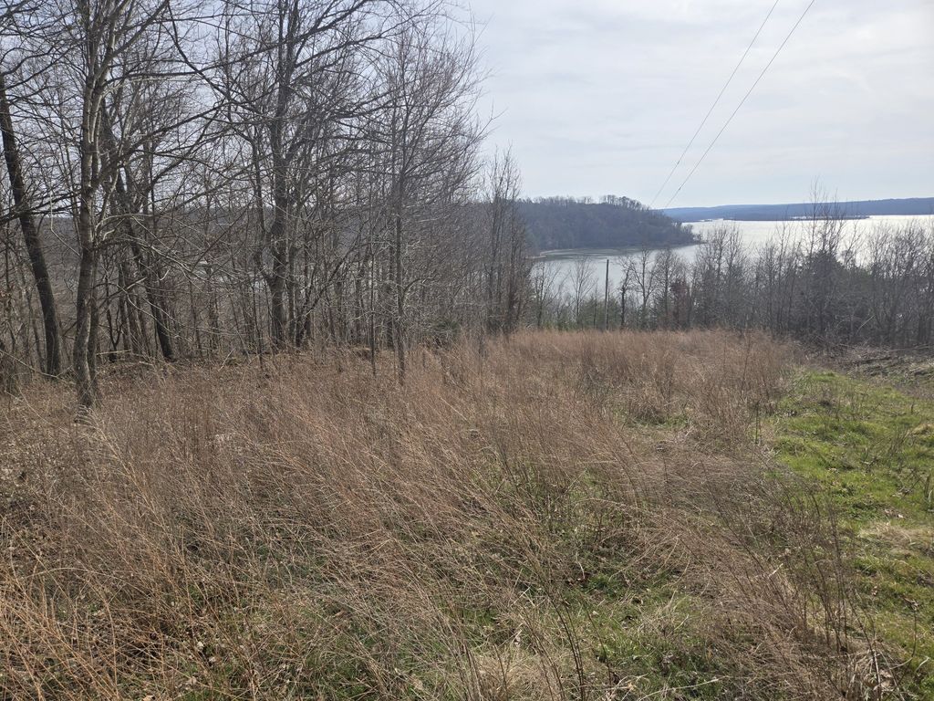 0 Cleburne Pt Prince Phillip, Waverly, TN 37185