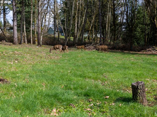 30744 Ne 10TH St, Washougal, WA 98671