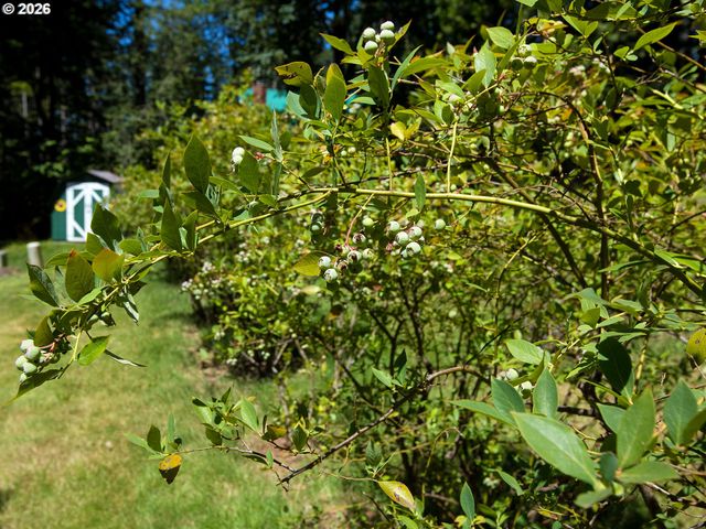 30744 Ne 10TH St, Washougal, WA 98671