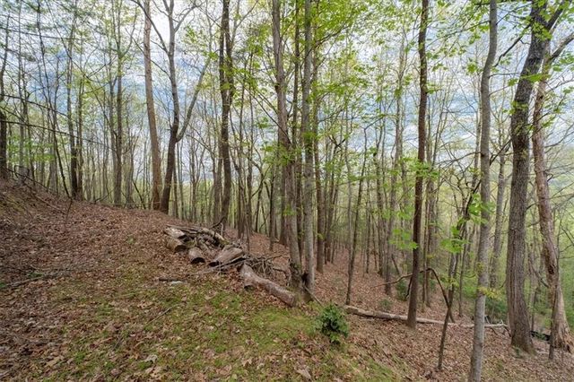 986 Mountain Oak Road, Ellijay, GA 30536