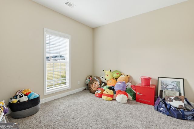 235 Fallen Leaf Drive, Brooklet, GA 30415