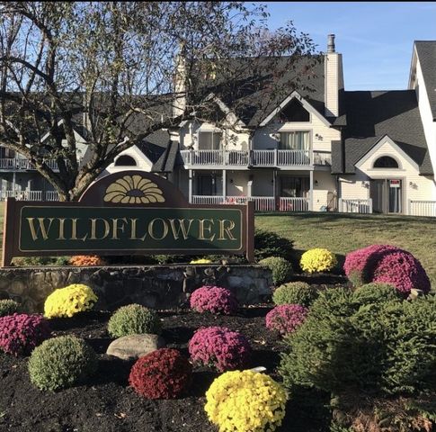 7 Wildflower, Ellicottville, NY 14731