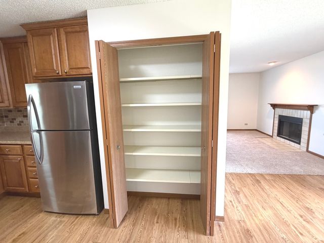 1109 Kane Street 1109, South Elgin, IL 60177