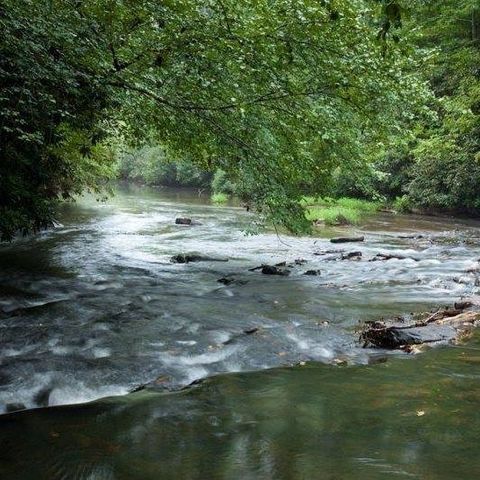 0 Shenendoa Drive, Ellijay, GA 30540