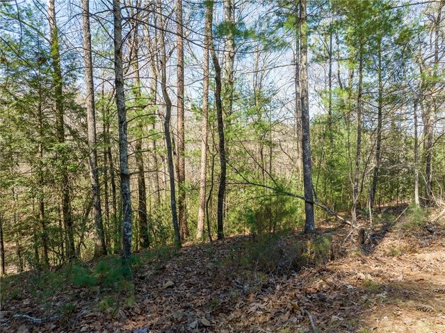 0 Shenendoa Drive, Ellijay, GA 30540