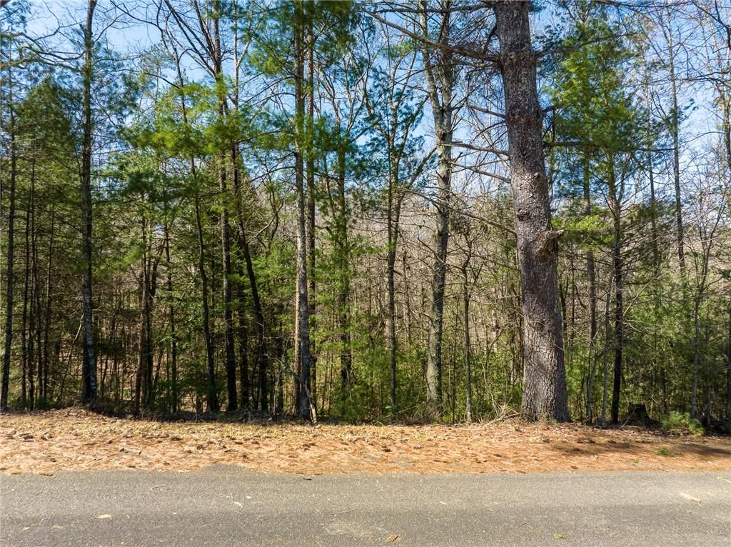 0 Shenendoa Drive, Ellijay, GA 30540