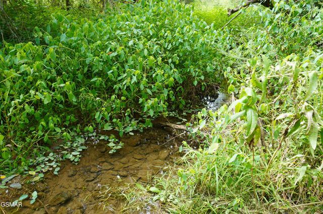 2840-2830 Robinson Creek Road, Morristown, TN 37813