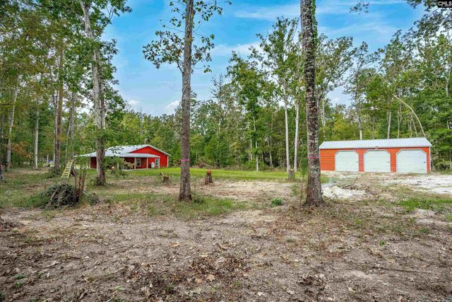 132 Pembroke Lane, Chapin, SC 29036