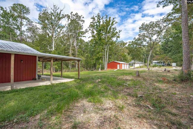 132 Pembroke Lane, Chapin, SC 29036