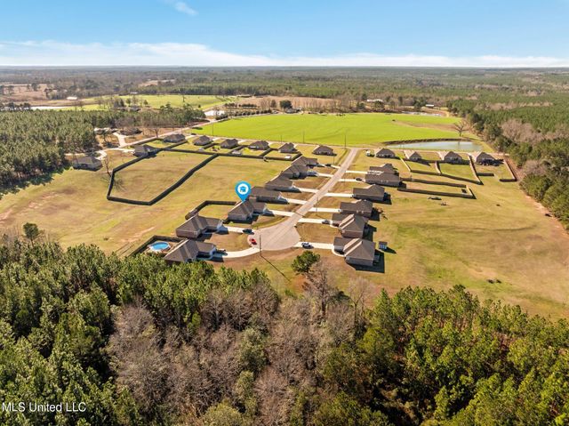 26 Sky View Drive, Purvis, MS 39475