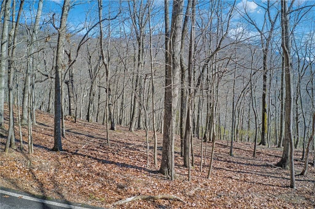 6354 Huckleberry, Jasper, GA 30143