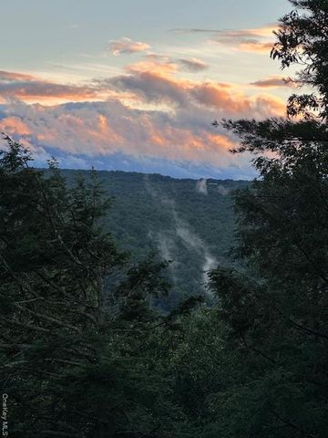 385 Evergreen Lane, Narrowsburg, NY 12764