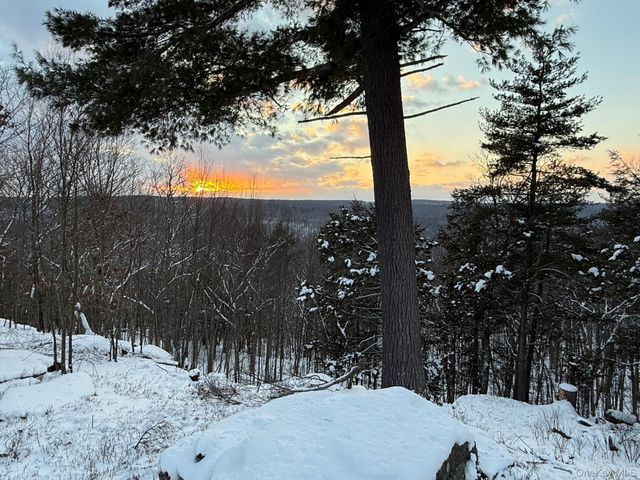 385 Evergreen Lane, Narrowsburg, NY 12764