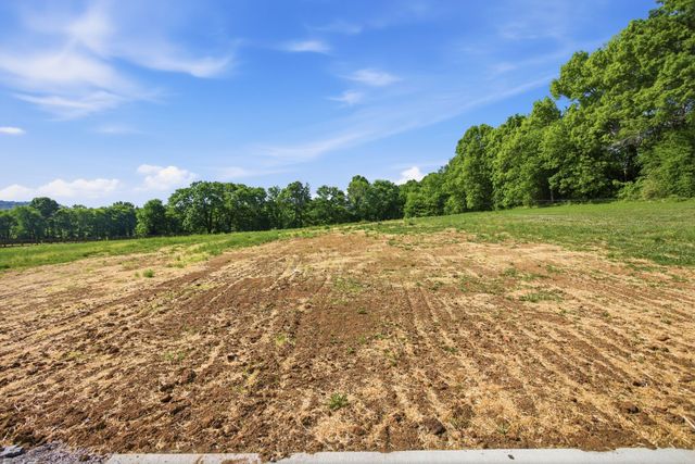 2161 Claude Fox Rd, Cornersville, TN 37047