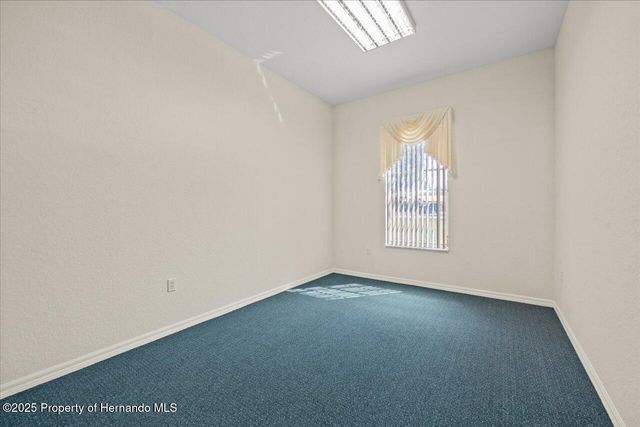 11137 Woodland Waters Boulevard, Spring Hill, FL 34613