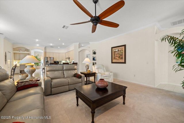 11137 Woodland Waters Boulevard, Spring Hill, FL 34613