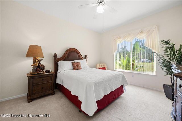 11137 Woodland Waters Boulevard, Spring Hill, FL 34613
