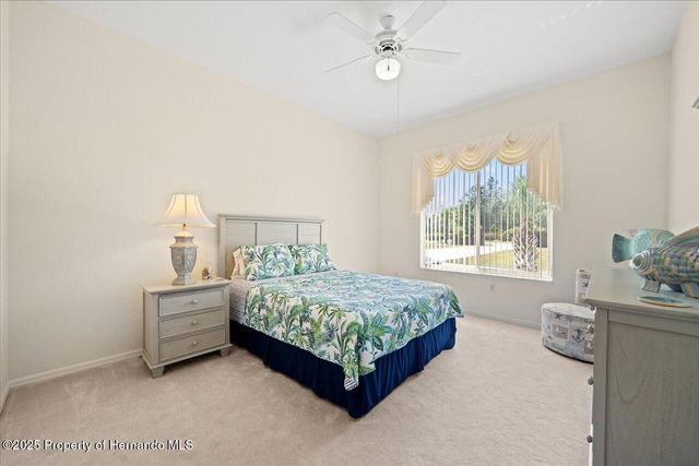 11137 Woodland Waters Boulevard, Spring Hill, FL 34613