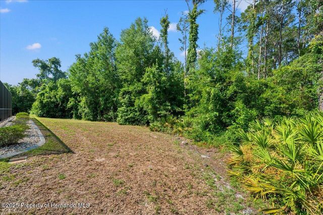 11137 Woodland Waters Boulevard, Spring Hill, FL 34613