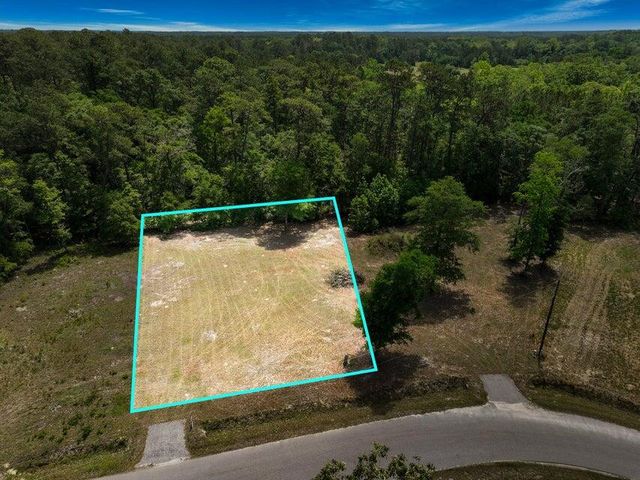 0 Capers Road, Walterboro, SC 29488