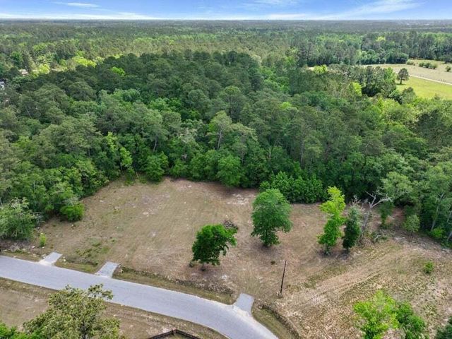 0 Capers Road, Walterboro, SC 29488