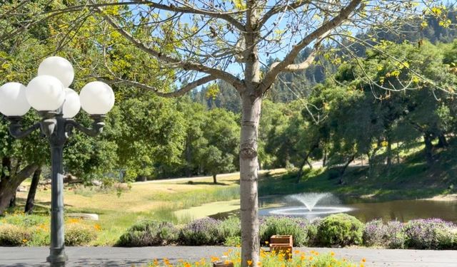 18301 Idylwild Road, Los Gatos, CA 95033