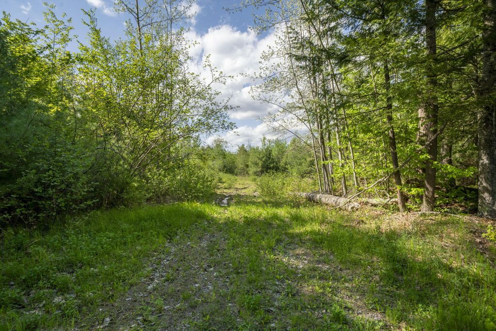 56 Burnham Road, Limerick, ME 04048 — photo 4