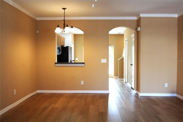 16320 SWAN VIEW CIRCLE, Odessa, FL 33556