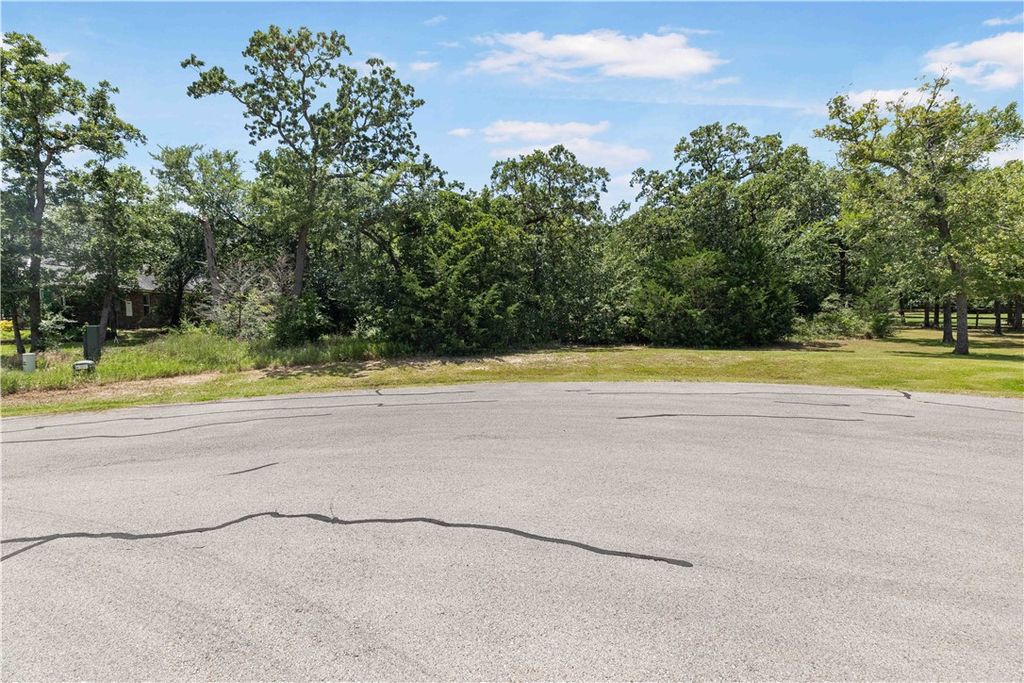 10223 Cambridge Drive, Iola, TX 77861 — photo 3