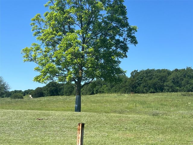 0000 Holland, Forestburg, TX 76239