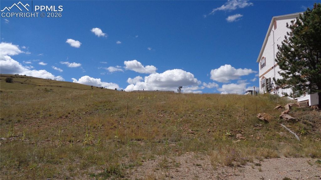 W Womack Street, Cripple Creek, CO 80813 — exterior