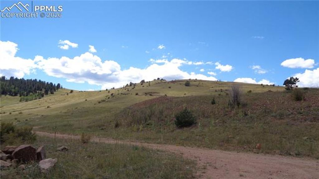 W Womack Street, Cripple Creek, CO 80813 — photo 3
