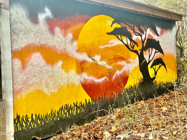 8245 Old Switchboard Road, Snow Camp, NC 27349