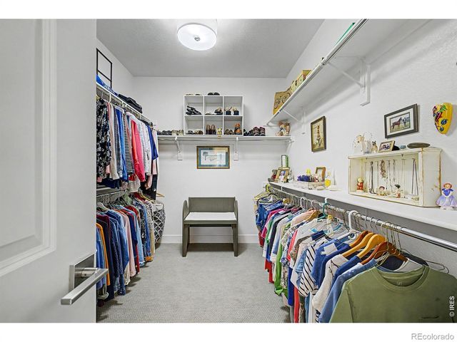 5974 Rendezvous Parkway, Timnath, CO 80547