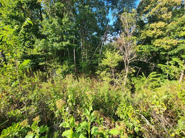 Lot 1 Eriboll Lane, Bella Vista, AR 72715